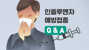 2024 독감 무료접종
