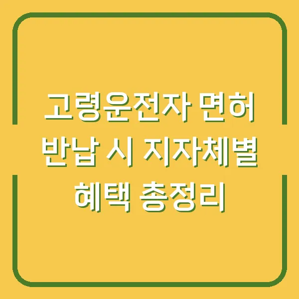 고령운전자 면허 반납 시 지자체별 혜택 총정리