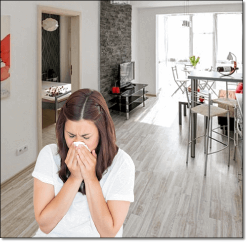 쌍화탕 효능 감기 몸살