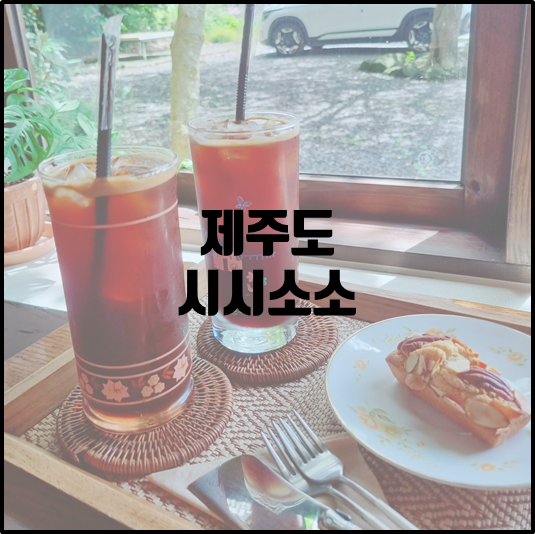 시시소소