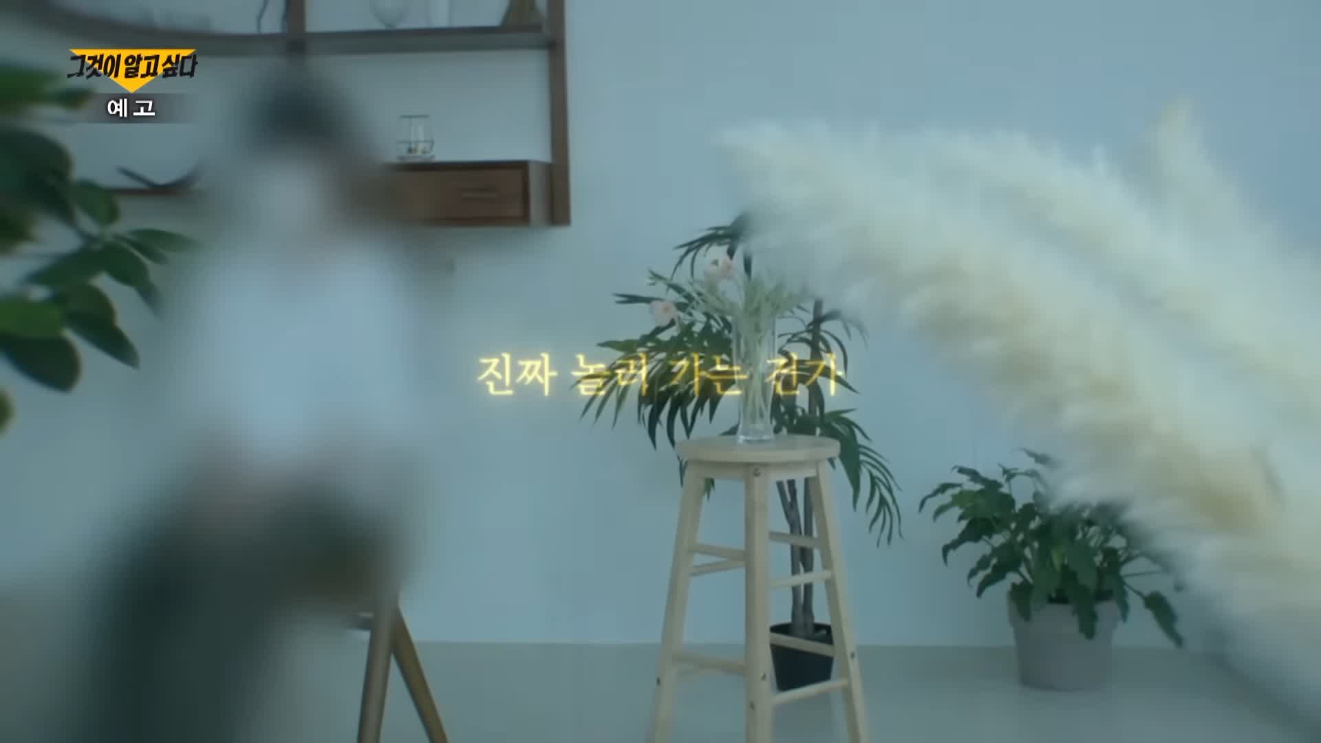 그알 그것이알고싶다 명백한 살인범죄 자식 목숨 빼앗는 부모 완도 일가족 실종 루나코인 부모 자녀 동반자살 사건 1317회