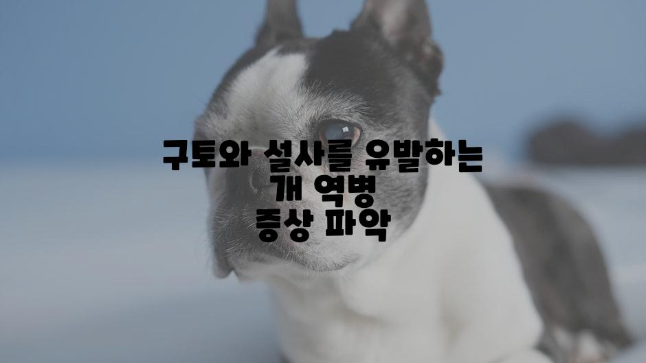구토와 설사를 유발하는 개 역병 증상 파악