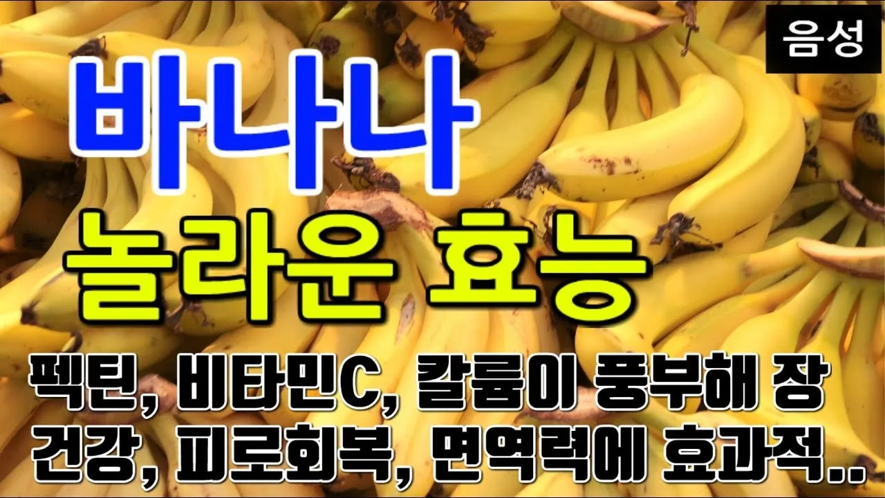 바나나 효능 식이섬유 포만감 운동 전후 효과_5