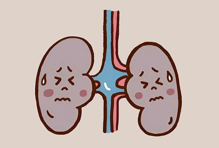 이상이-있는-신장의-모습