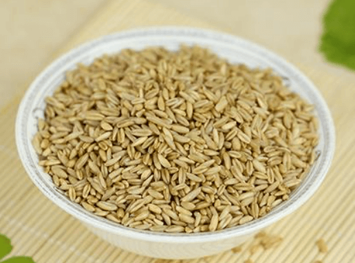 귀리 효능과 부작용 밥짓기 및 귀리차 만드는법 알아보기