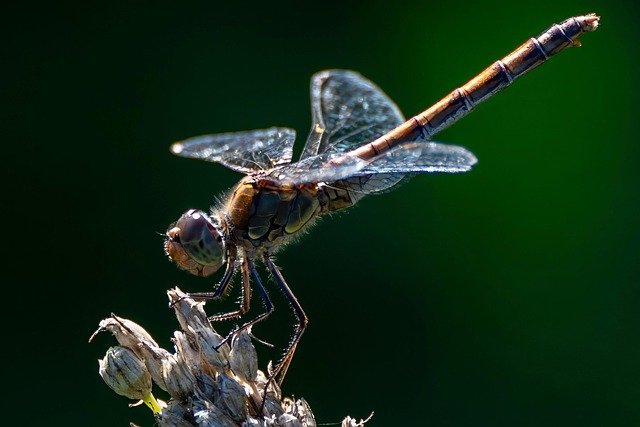 2025 계룡군 문화축제&amp;#44; K-군(軍)문화의 메카에서 모험과 체험의 장!