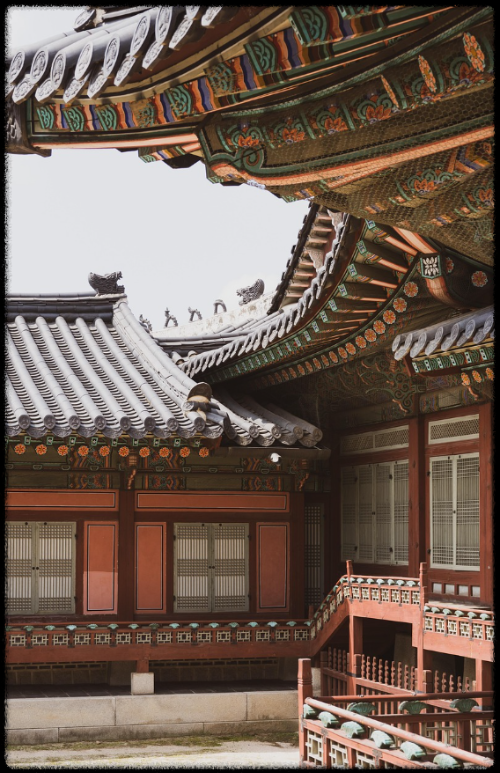 단양 숙소 어디가 좋을까? 한옥 vs 리조트 vs 모텔 비교