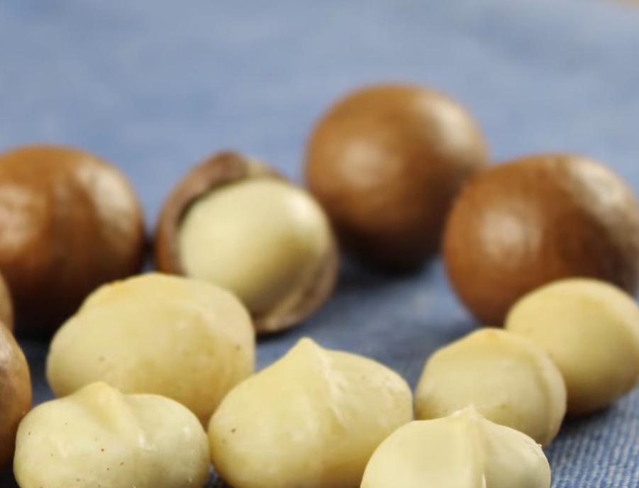 마카다미아의 효능