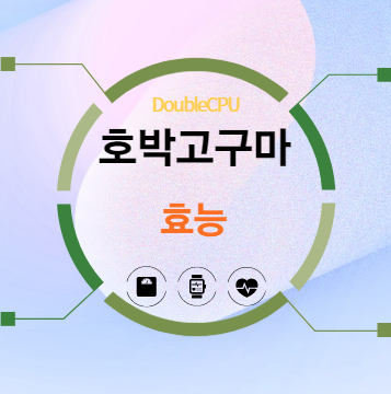 호박고구마 효능 탐구