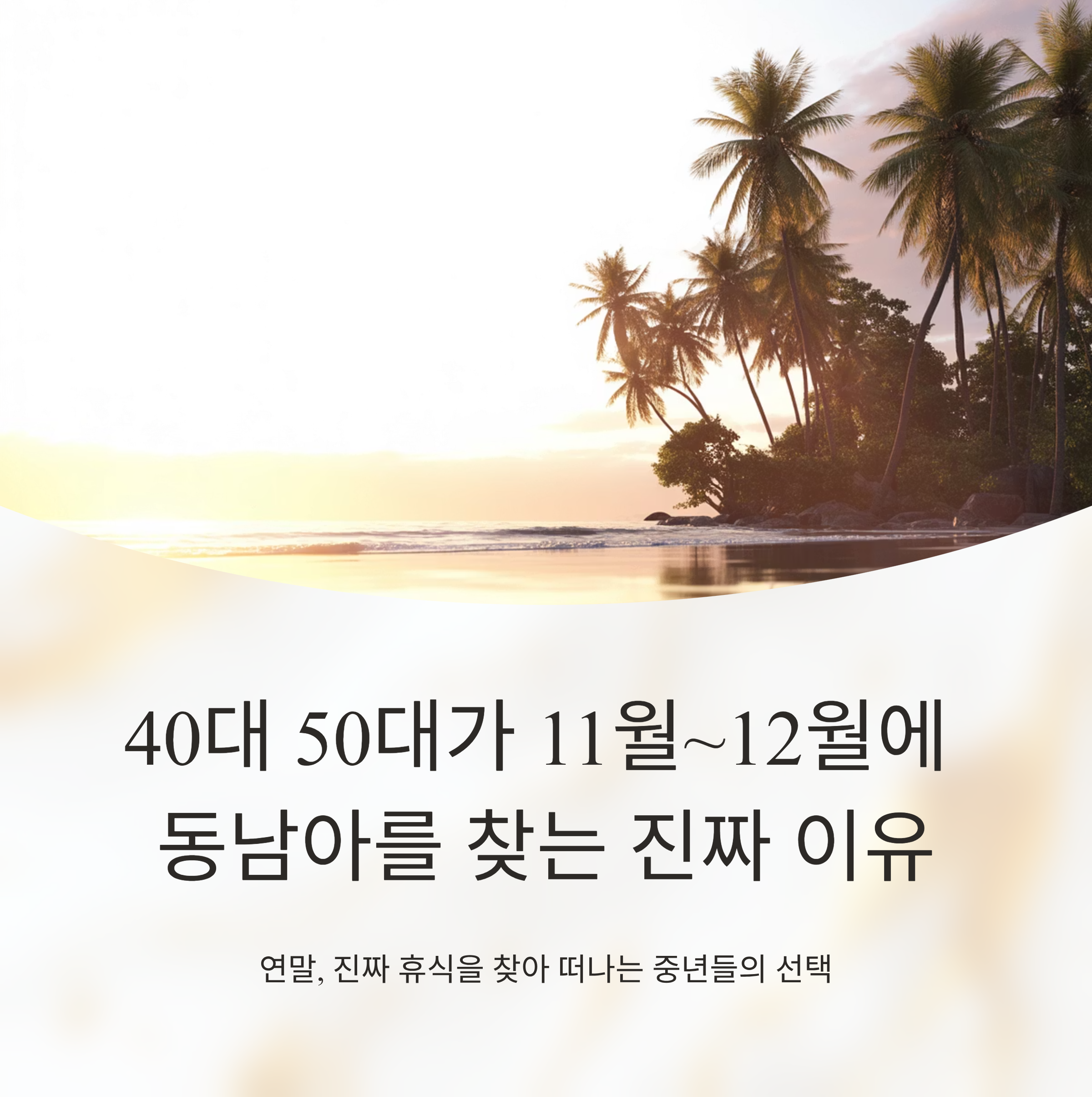 40대 50대가 11월~12월에 동남아를 찾는 진짜 이유