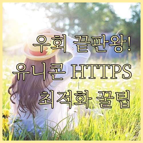 해외 사이트 접속 우회 유니콘 HTT..