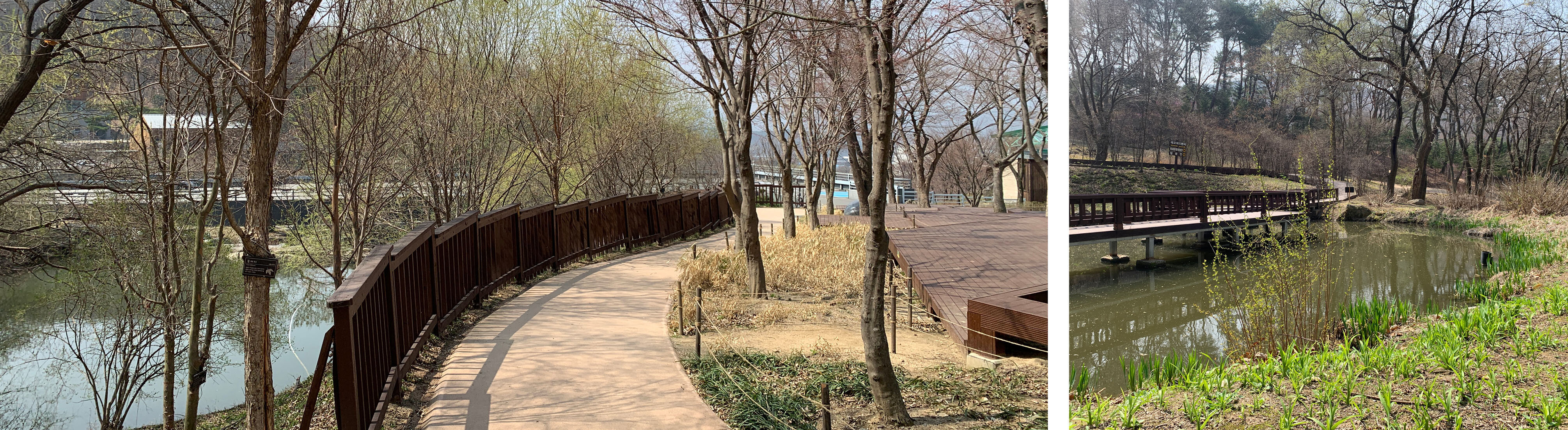 용인자연휴양림