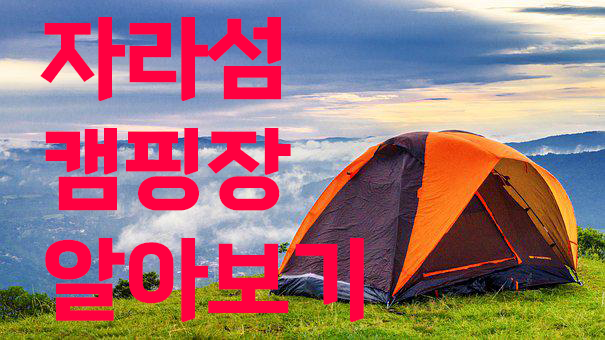 캠핑장 추천
