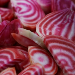 비트 효능 및 부작용 먹는 방법 칼로리 소변색