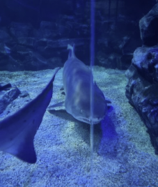 아이와 실내 가볼만한 곳 서울 근교 추천 4곳