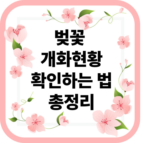 벚꽃
