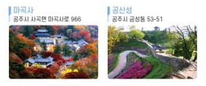 2025 유구색동수국정원 꽃 축제