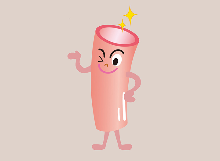 심혈관-기능-개선