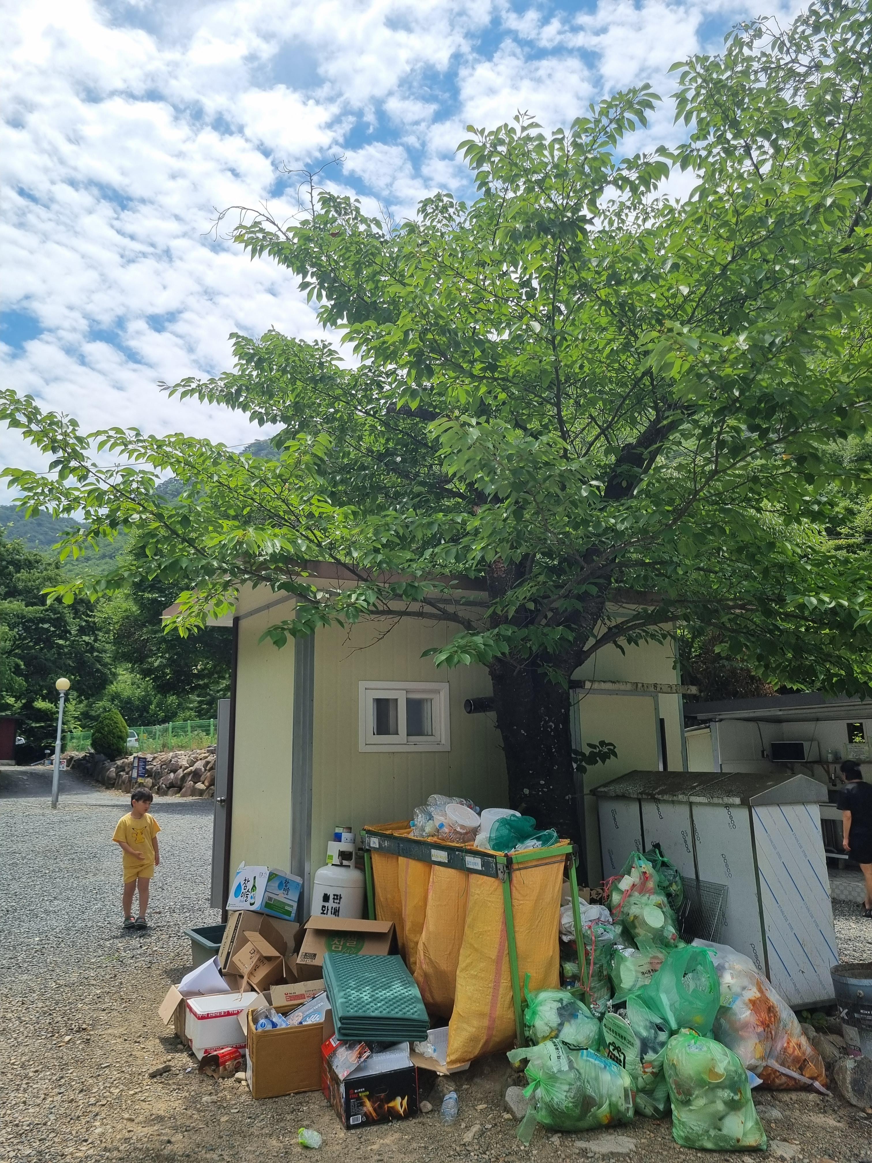 둥지펜션캠핑장