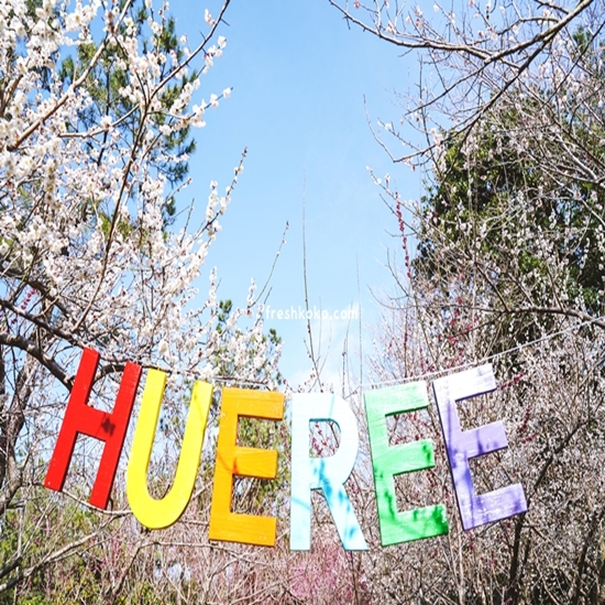 2월에 가볼만한 국내여행지 베스트110