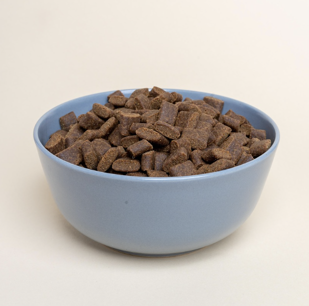 고양이 사료와 간식 추천 및 비교 리뷰