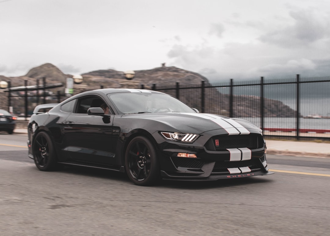 Mustang