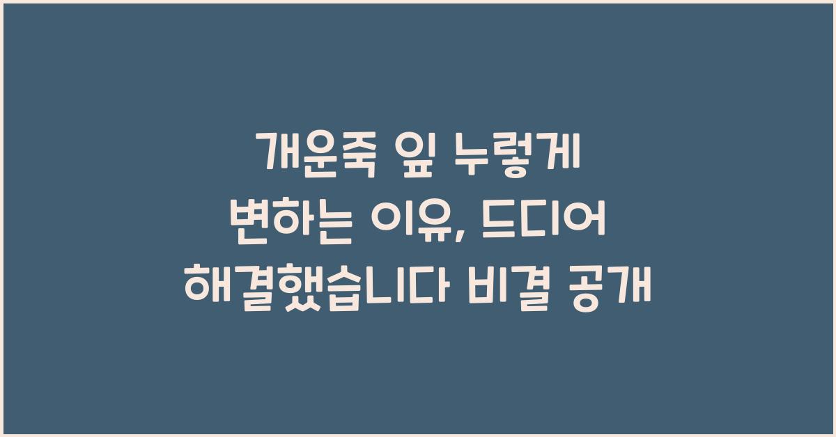 개운죽 잎 누렇게 변하는 이유, 드디어 해결했습니다