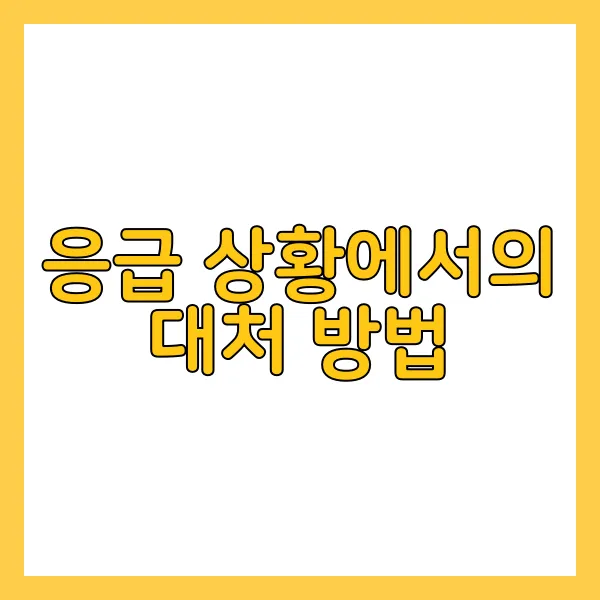 외국여행시