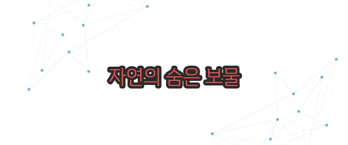 비단풀 효능 이보다 자세히 설명할순없다