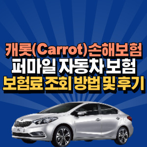 캐롯-퍼마-일-자동차-보험