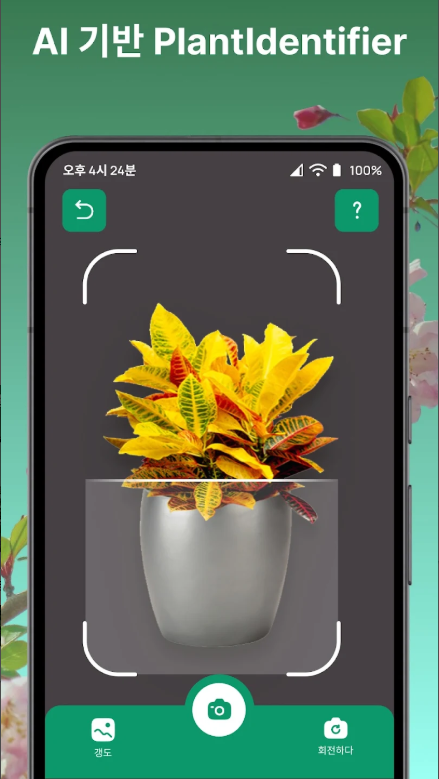 식물 이름찾기, 꽃 검색, 꽃 이름찾기 어플