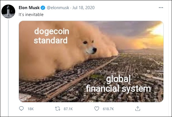 musk-twitter-dogi