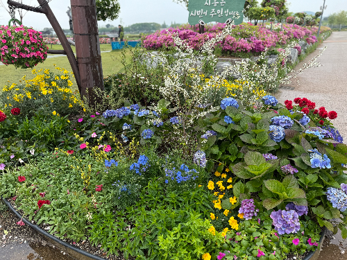 시흥 갯골생태공원 해질녁 콘서트