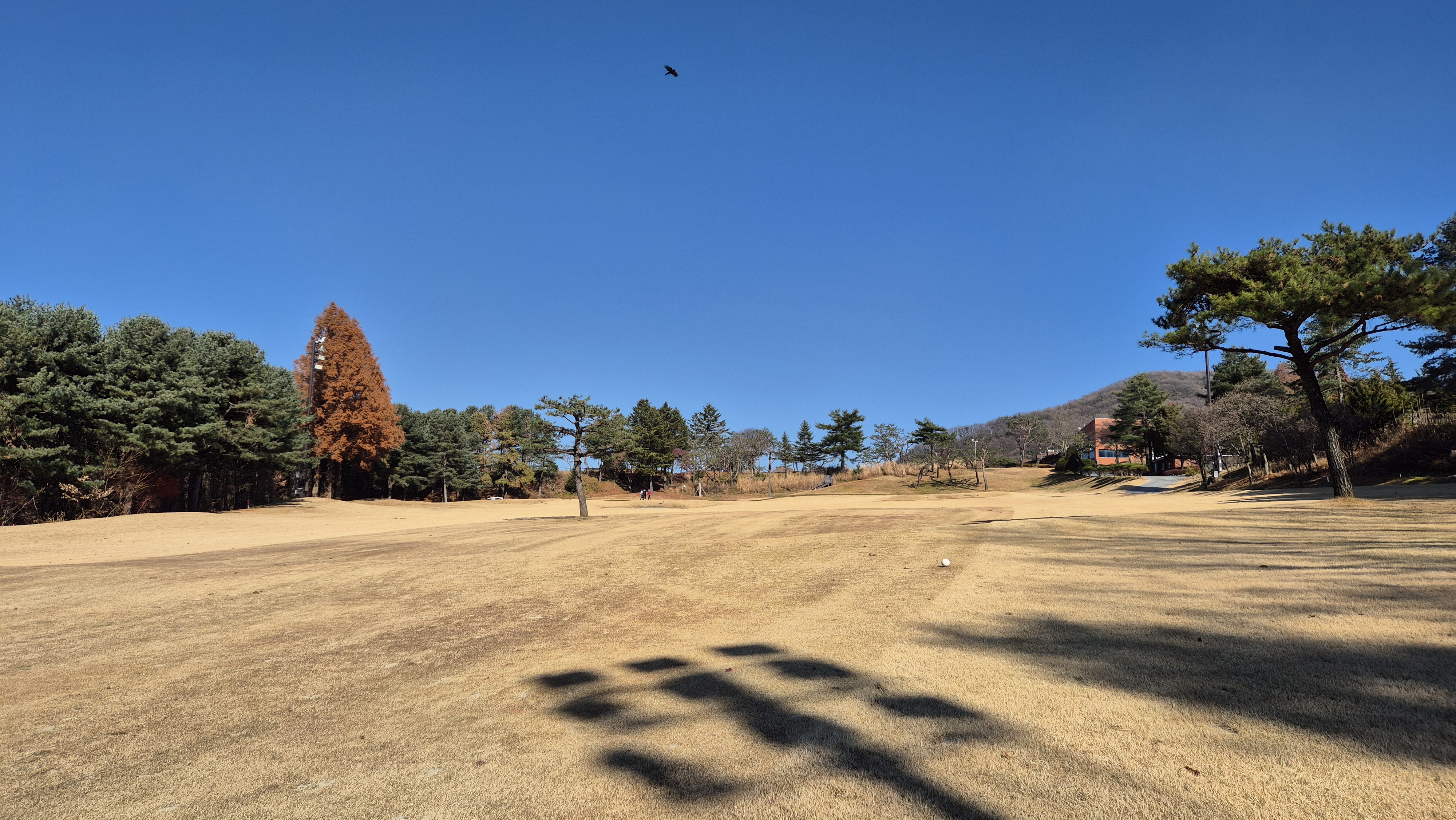 88cc 서코스 사진 및 공략 정보