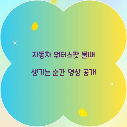 자동차 워터스팟 물때 생기는 순간 영상 공개