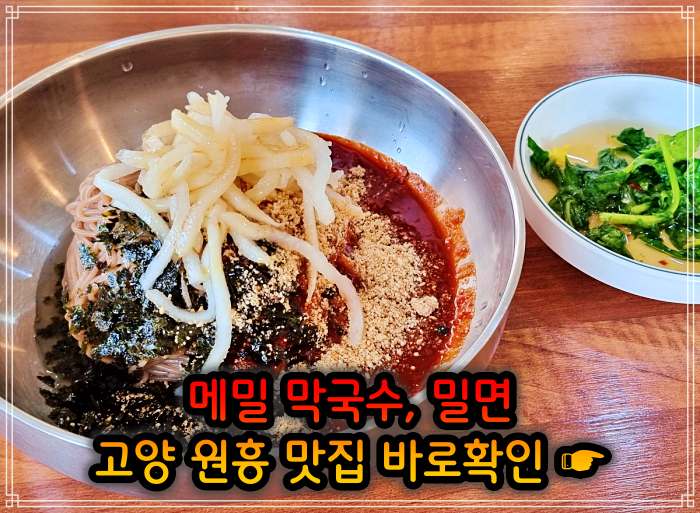 고양 삼송 원흥 맛집 메밀막국수&#44; 밀면