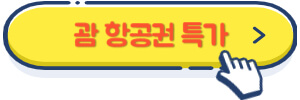 괌 항공권 특가
