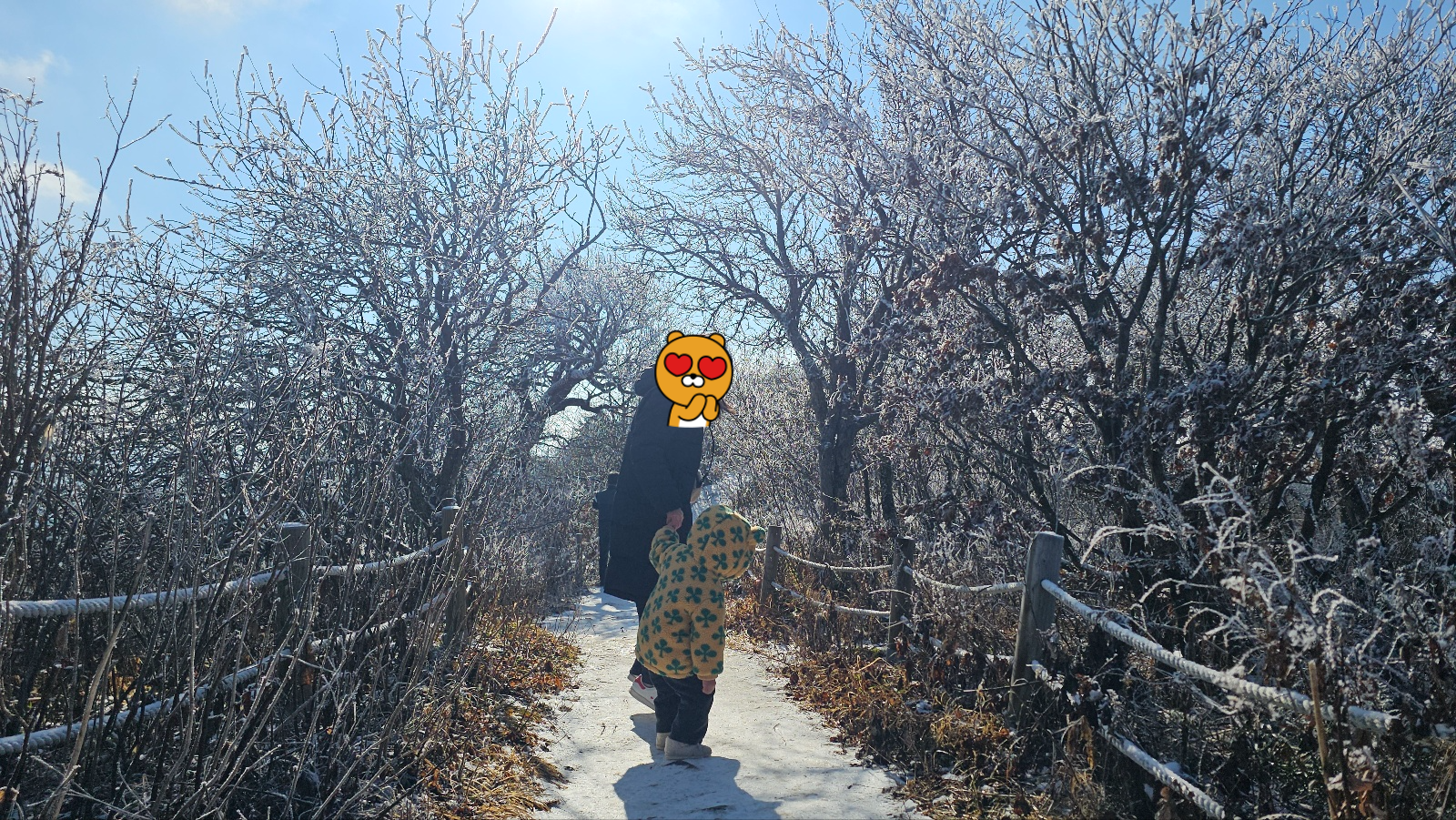 [36개월 아들과 함께 평화봉]