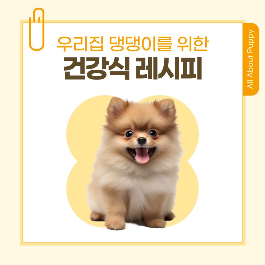 dog healthy food receipe