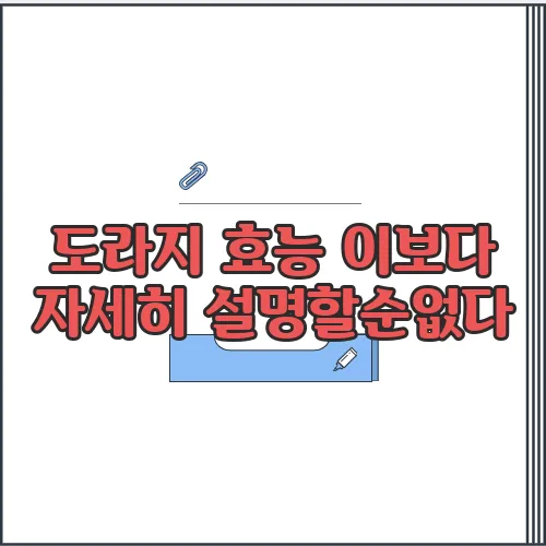도라지 효능 이보다 자세히 설명할순없다