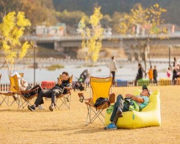 양양 송이 연어축제_14