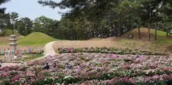 경주를 달리는 드라이브 코스, 자동차 여행의 즐거움