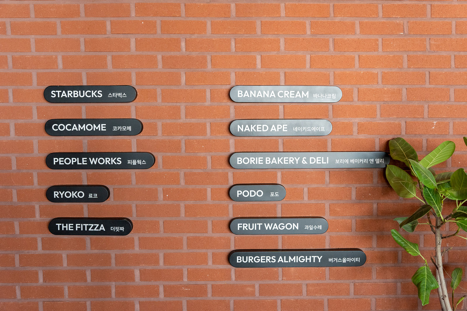 입점 매장 목록.