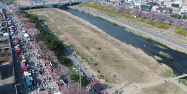  2025 청주 벚꽃 푸드트럭 축제 완벽 가이드: 일정 및 프로그램 교통 정보 