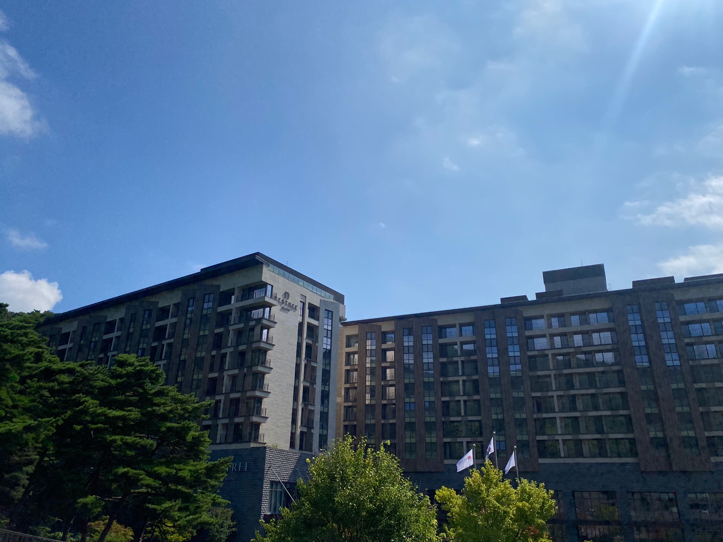 리솜 포레스트 레스트리 VS 빌라형 객실 비교 분석! 완벽한 선택을 위한 꿀팁 (+ 뷰 좋은 객실 정보)