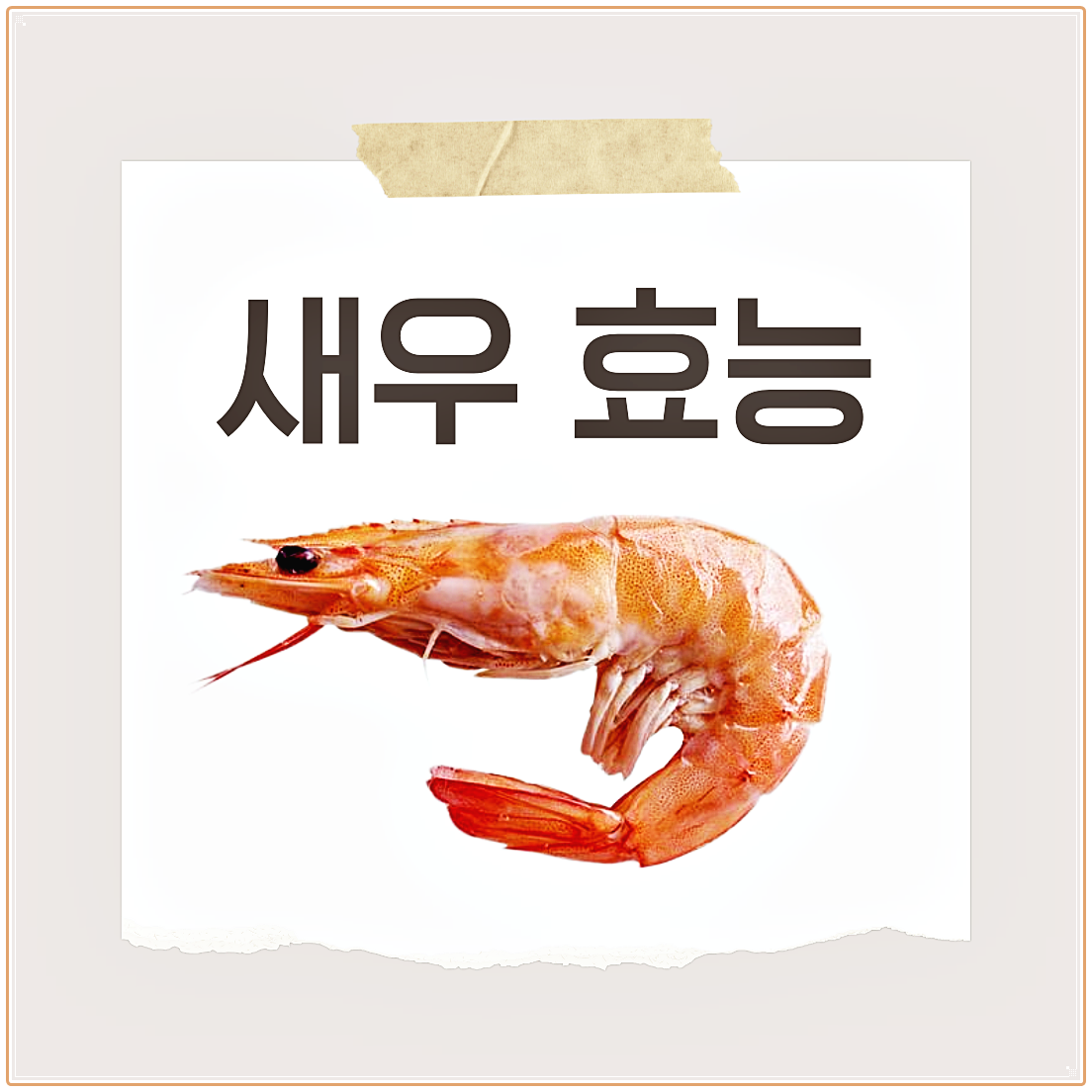 새우 효능