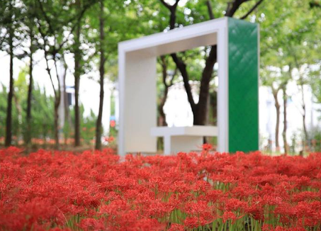 커플 감성 여행: 꽃무릇, 대구 그린웨이, 사진명소