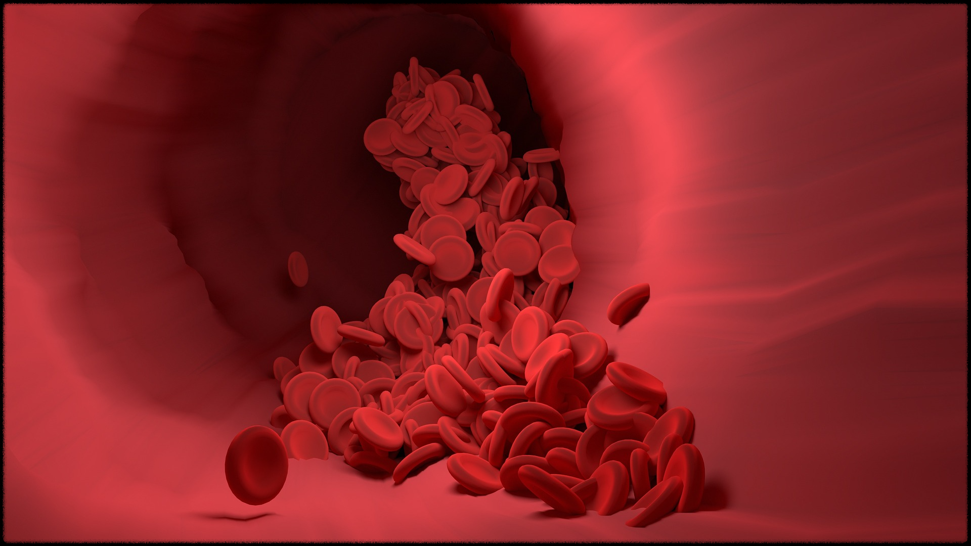 오메가3 효능 사진5