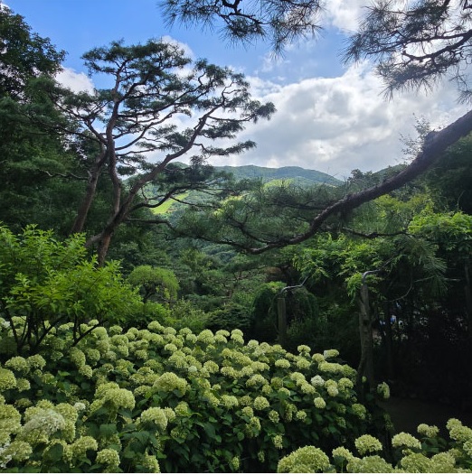 화담숲 가을 단충축제 사전예약 오픈
