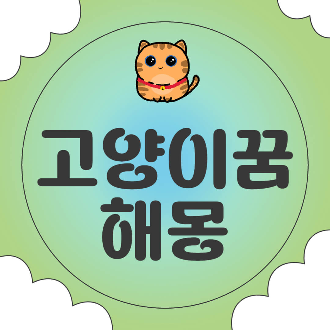 고양이 꿈 해몽 태몽 새끼 검은 고양이